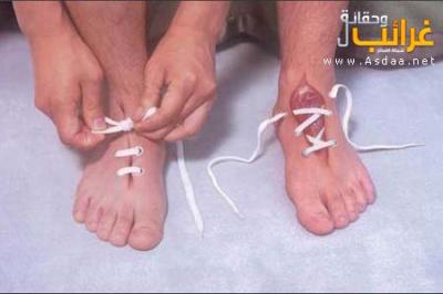 chof_weskot              awla ..............